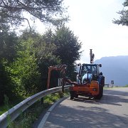 sflacio erba (5)